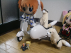 サイドカーにフェレット.JPG